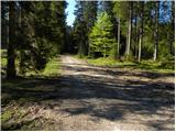 Bitenjska planina - Planina Pečana